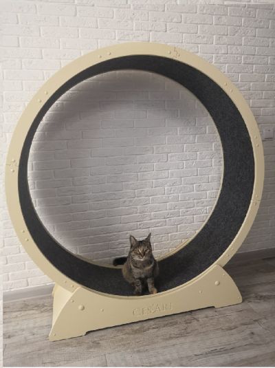Roue de 90Ø et Tapis d'exercice pour Chat 
