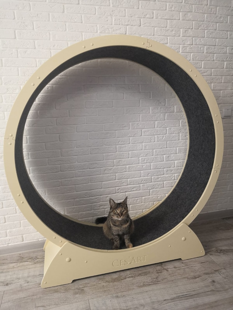 Roue de 110Ø et Tapis d'exercice pour Chat 